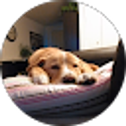 Profile photo of Amber Sherlock