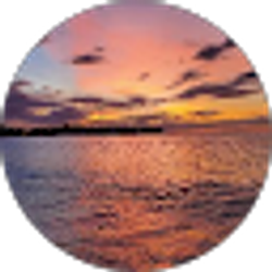 Profile photo of Dan Hickey
