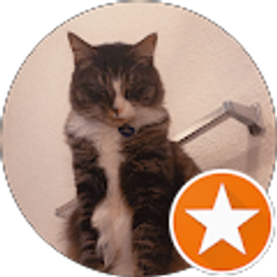 Profile photo of Sara Field