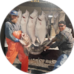 Profile photo of Troy Nunes