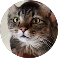 Profile photo of misty