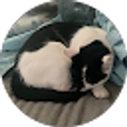 Profile photo of Jaden Miyake