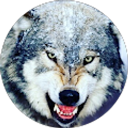 Profile photo of Hayden Scelson