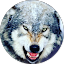 Profile photo of Hayden Scelson