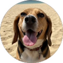 Profile photo of Mary Eberhardt