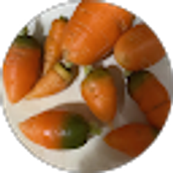 Profile photo of Olive F.