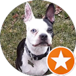 Profile photo of Tamara Meisner