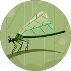 Profile photo of Michael Shoot