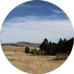 Profile photo of D Upton