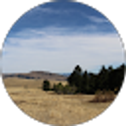 Profile photo of D Upton