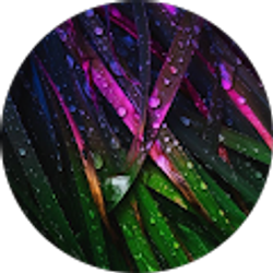 Profile photo of Maria Quintanilla