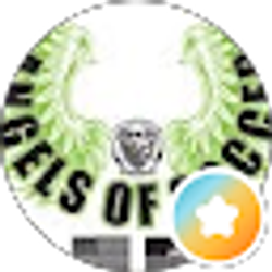 Profile photo of angelsofsoccer