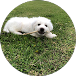 Profile photo of Judith Gonzalez