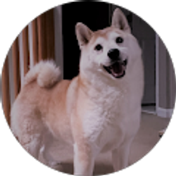 Profile photo of Shelley Anzalone