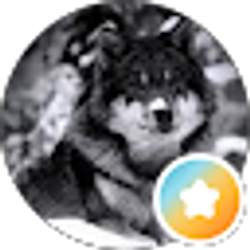 Profile photo of Samm Grayson