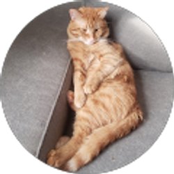 Profile photo of Sophia Reinsch