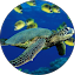 Profile photo of Christine Backhaus_Dobson