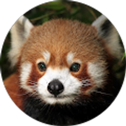 Profile photo of Andy Erwin