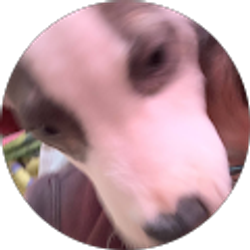 Profile photo of Vanessa Garza