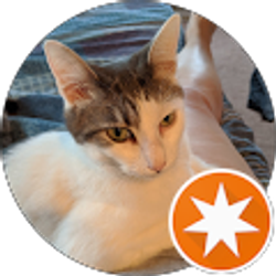 Profile photo of Sheryl Kushnick-Carr