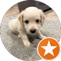 Profile photo of Christina