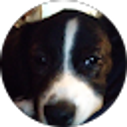 Profile photo of Brian Smith