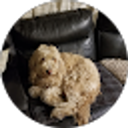 Profile photo of Sly Prus