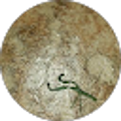 Profile photo of Lucas Mccoy