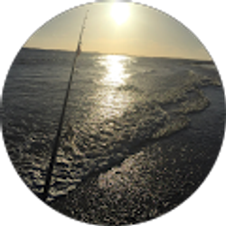 Profile photo of Sean Hanse