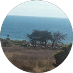 Profile photo of Ana Juarez