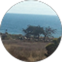 Profile photo of Ana Juarez