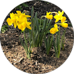 Profile photo of Randetta Moore