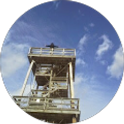 Profile photo of Tey “Monte” T