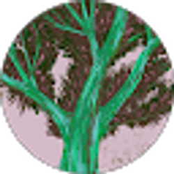 Profile photo of Lee