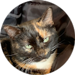 Profile photo of Kelly Crafton