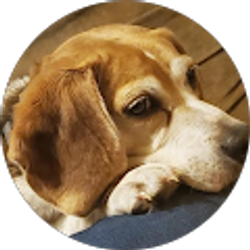 Profile photo of Verna Plummer