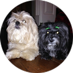 Profile photo of Penny White