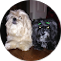 Profile photo of Penny White