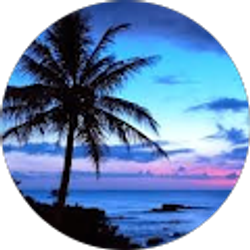 Profile photo of Herminia Farrell