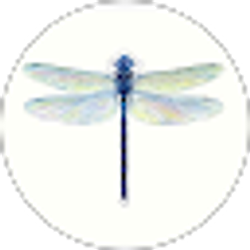 Profile photo of Deana