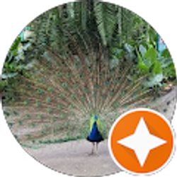 Profile photo of M J