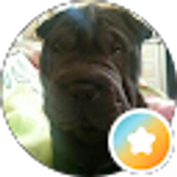 Profile photo of G