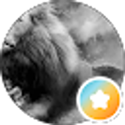 Profile photo of Molivar Creed