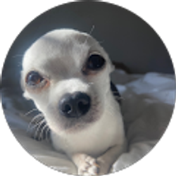 Profile photo of Keri D’Spain