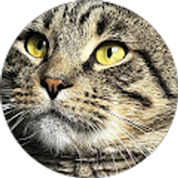 Profile photo of Steph