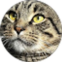 Profile photo of Steph
