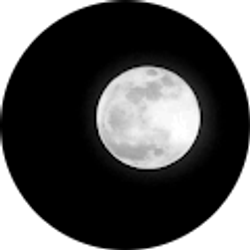 Profile photo of Roxanna A