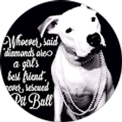 Profile photo of Mindy Portner