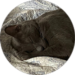 Profile photo of Kris Crotty