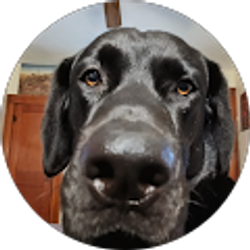 Profile photo of Kip Ward